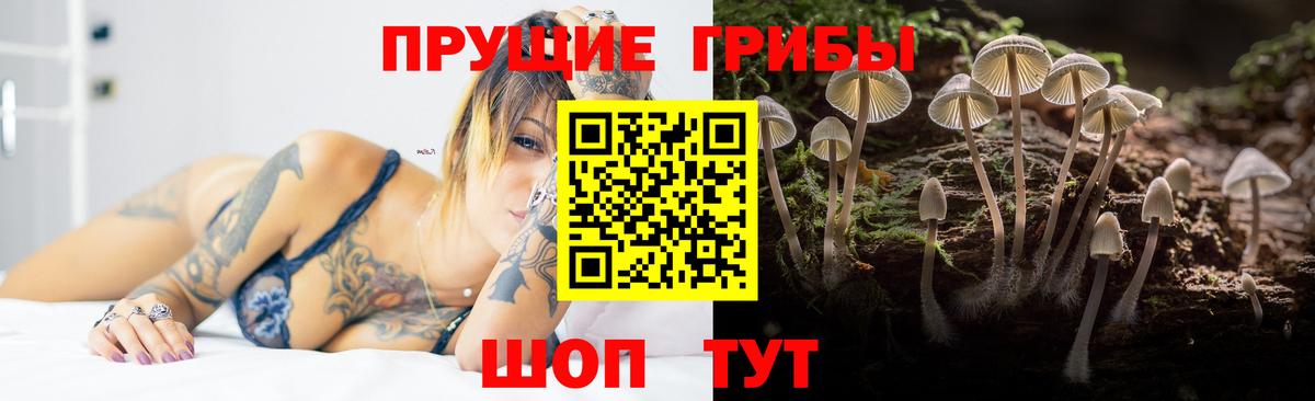 Галлюциногенные грибы MAGIC MUSHROOMS  Вход с VPN  Коломна  Галлюциногенные грибы мицелий 